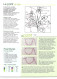 Lot De 3 Fascicules Point De Croix Facile, Préléminaire Et Numéro 1 Et 2 De La Collection Hachette, Broderie - Fashion