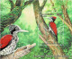 Delcampe - SRI LANKA 2021 Mi BL 213 - BL 218 ENDEMIC BIRDS 6 X MINT MINIATURE SHEETS ** - Sri Lanka (Ceylan) (1948-...)