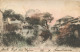 JAPAN  - NAGASAKI - NAKASHIMA GAWA - 1907 - Other & Unclassified