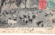 Australie - N°64699 - Sydney - Overlanding Cattle - Sydney