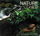 Nature Child. 2 X CD - Nueva Era (New Age)