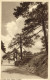 Cyprus, TROODOS, View With Trees (1950s) Mangoian Bros. Postcard (2) - Chipre