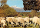 PASTORALE Les Alpes Pittoresques 2(scan Recto-verso) MA429 - Artisanat