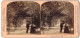 Stereo-Fotografie Underwood & Underwood, New York, Ansicht New York City, Central Park Lover's Lane  - Photos Stéréoscopiques