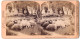 Stereo-Fotografie J. F. Jarvis, Washington D.C., Schafe Unter Olivenbäumen In Südfrankreich  - Stereo-Photographie