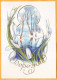 2001 Ukraine  Postcard March 8. Snowdrops. Flowers,  LOM 14. - Ucrania