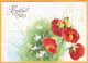 2001 Ukraine  Postcard  LOM 26. Congratulations!  Flowers, Poppies, Daisies. - Ukraine