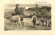 Delcampe - DESTOCKAGE BON LOT 100 CPA FRANCE Toutes Avec Petites Animations (Toutes Scanées) - 100 - 499 Postkaarten