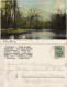 Ansichtskarte Tiergarten Berlin Tiergarten Rousseau Insel 1904 - Dierentuin