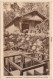Bad Homburg  Höhe Kastell, Mithras - Heiligtum Mit Immerfließender Quelle 1924 - Bad Homburg