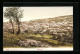 AK Nazareth, Panorama Der Stadt  - Palestine