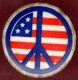 ** BROCHE  U. S. A. ** - Spille