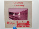 Photo Diapo Diapositive Slide Par TONIMALT La Savoie N°1 Le Lac D'ANNECY Bateaux Voiliers Bronzage VOIR ZOOM - Diapositives