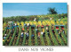 Vignes - Scènes De Vendanges - Tracteur - CPM - Voir Scans Recto-Verso - Vignes