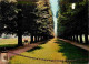 91 - Draveil - Domaine De Villiers - La Promenade - CPM - Voir Scans Recto-Verso - Draveil