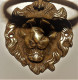 TRES ANCIEN PETIT HEURTOIR EN BRONZE DECOR TETE DE LION BE - Bronzes