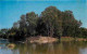 Inde - Srirangapatna - River Cauvery Sangama - Carte Neuve - CPM - Voir Scans Recto-Verso - Indien