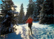 Sport - Sports D'Hiver - Ski - CPM - Voir Scans Recto-Verso - Sports D'hiver