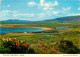 Irlande - Kerry - Ring Of Kerry - Waterville - CPM - Voir Scans Recto-Verso - Kerry
