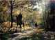 Animaux - Chevaux - Promenade Equestre En Limousin - Foret - CPM - Voir Scans Recto-Verso - Chevaux