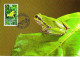 Liechtenstein 1989: Laubfrosch Rainette Tree-Frog (Hyla Arborea) Zu 909 Mi 968 Yv 909 Bloc & Carte Maximum Serie N° 89 B - Frösche