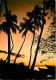 Antilles - Coucher De Soleil - CPM - Voir Scans Recto-Verso - Autres & Non Classés