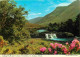 Irlande - Galway - Connemara - Aasleagh Falls Near Leenane - Cascades - Fleurs - Voir Timbre - CPM - Voir Scans Recto-Ve - Galway