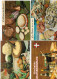 Delcampe - 25 Cartes - Recettes (cuisine)