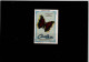 52000202 - - Butterflies