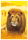 TH-LIONS-N°TB3539-D/0027 - Leones