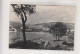 CROATIA DUBROVNIK Nice Postcard VF - Kroatien