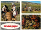 Vignes - Bourgogne - Multivues - Vendanges - CPM - Voir Scans Recto-Verso - Vignes