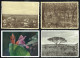 8 CP Diverses: KATANGA - Parc National De L'UPEMBA -  Circulated - Circulé - Gelaufen - 1962-63. - Belgian Congo