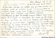 AEQP10-ALGERIE-0875 - Collection Aristique - Dans La Palmeraie - Colecciones Y Lotes