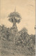 1914 , PORT SAID - MATSUMOTO ( JAPÓN ) , T.P. CIRCULADA , ED. PLATÉ LTD. COLOMBO Nº 38 , TALIPOT PALMS IN FULL FLOWER - 1866-1914 Ägypten Khediva