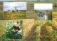 Vignes - Au Pays Du Pouilly Fumé - Multivues - CPM - Carte Neuve - Voir Scans Recto-Verso - Vignes