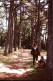 Photo Diapo Diapositive Slide à Situer FAMILLE Hommes Dans Les Bois En 1963 VOIR ZOOM - Diapositives