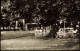 Ansichtskarte Bad Krozingen Schwarzwald Musikpavillon Im Kurpark 1957 - Bad Krozingen