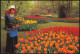Postkaart Lisse Ortsansicht Blumenmeer KEUKENHOF LISSE-HOLLAND 1985 - Lisse