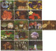 16 Pc. Mushrooms, Spain 2007 - Petit Format : 2001-...