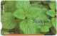 Cyprus - Cyta (Chip) - Herbs - Rosemary, 06.2008, 10€, 50.000ex, Used - Zypern