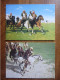 Lot De 2 CPSM Avec Beaux Timbre Stamp 1972 -  AFGHANISTAN A Scene Of Buzkashi Sport équestre National Cheval Equitation - Afghanistan