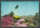 NORTH KOREA  - The Chollima Statue - Old 3D Postcard, Unused - Stereoscope Cards