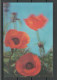 NORTH KOREA  - Poppy Flower - Old 3D Postcard, Unused - Stereoskopie
