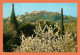 A656 / 117 06 - MOUGINS - Mougins