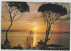 Australia TASMANIA TAS Sunset At OYSTER BAY East Coast ACP1117 Postcard C1960s - Andere & Zonder Classificatie