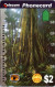 14-4-2024 - Phonecard - Australia  - (1 Phonecard) Spectacular Rainforest - $2.00 - Australia