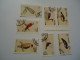 OMAN STATE  USED  18 STAMPS BIRD BIRDS Swan And Others 2 Scan PORROTS  DUCK - Cygnes