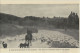 136380 - Neuseeland - Neuseeland - Sheep Droving Scene - Nouvelle-Zélande