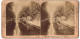 Stereo-Fotografie J. F. Jarvis, Washington D.C, Ansicht Amsterdam, Blick In Eine Gracht Mit Kirche  - Stereoscopic